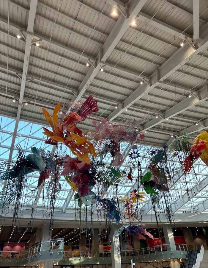 google_place_photos (62)