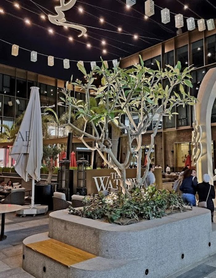 google_place_photos